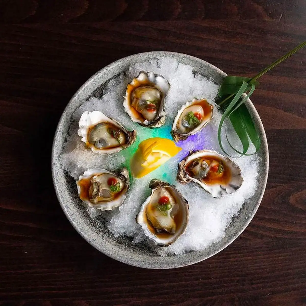 Fresh Oysters
