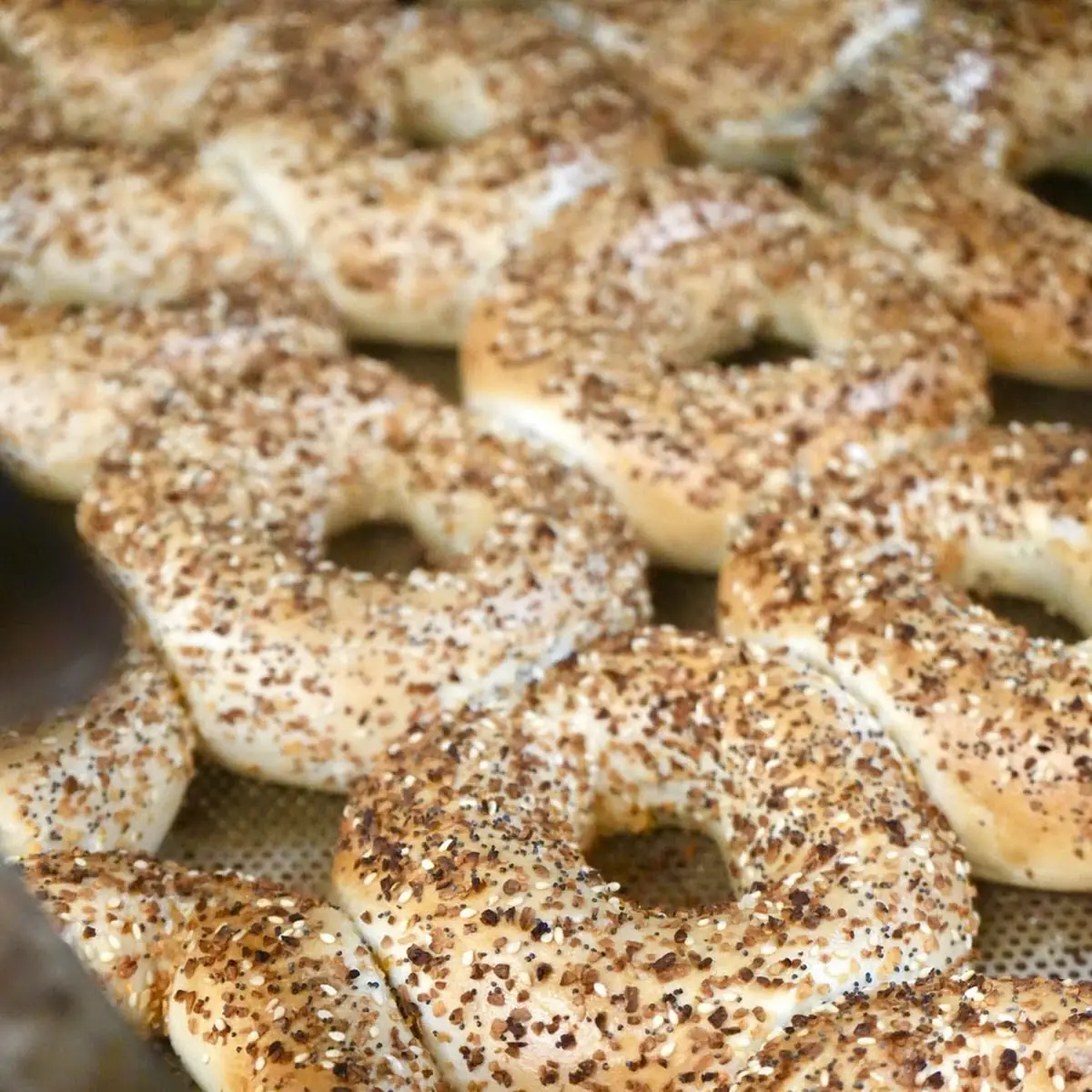 Poppy Bagel