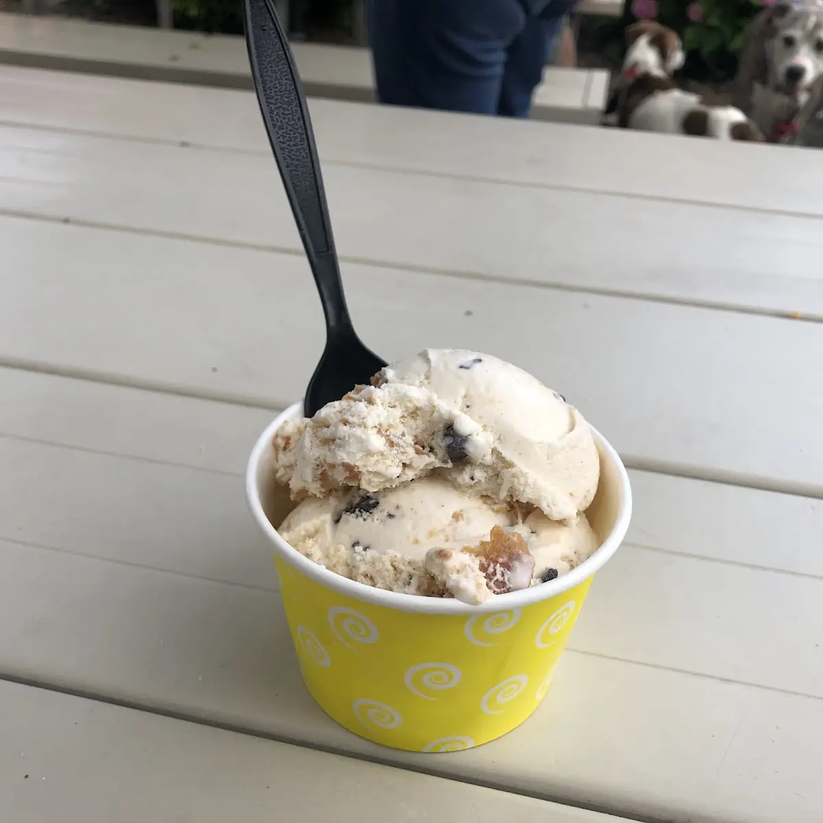 Gelato