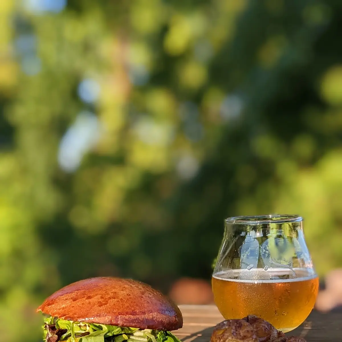 Bison Burger