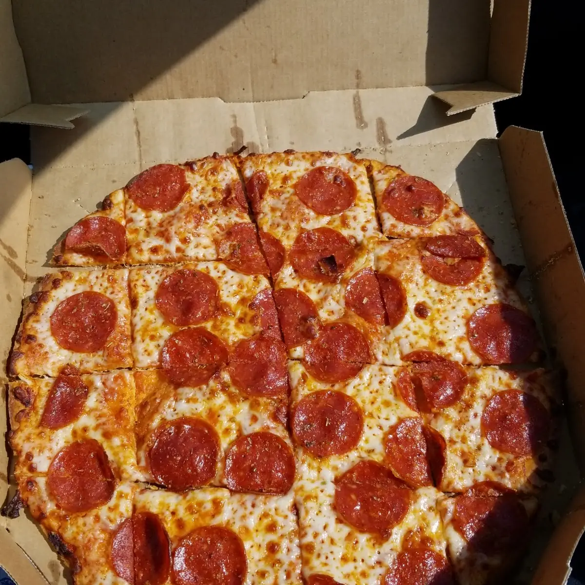 Thin Crust Pizza