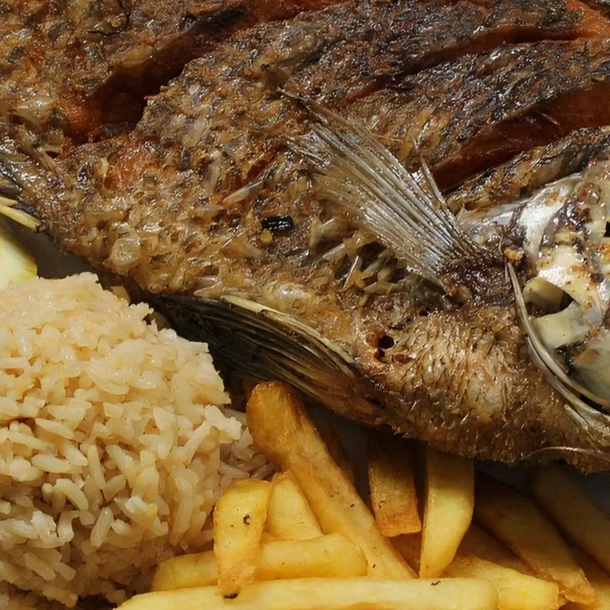 Fried Tilapia
