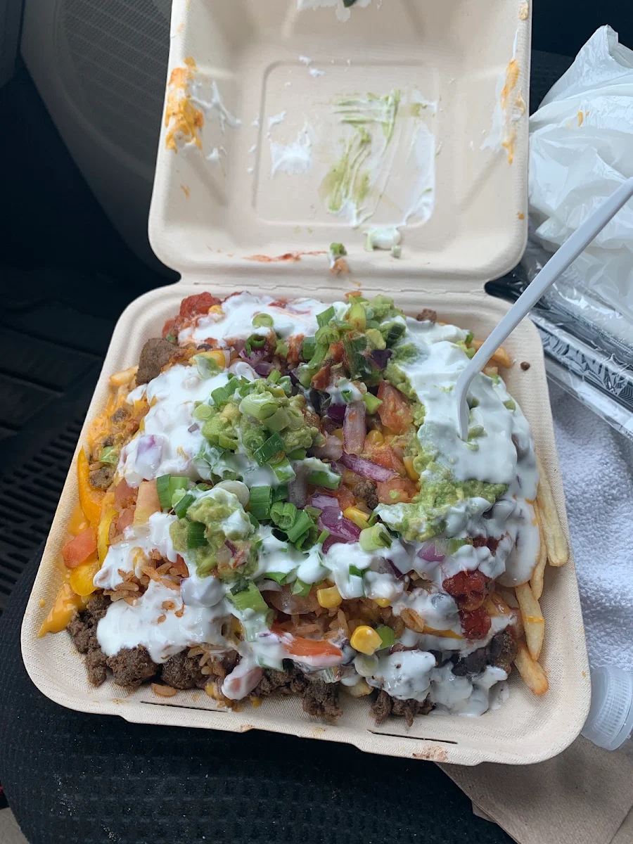 Cheese Fries with Chicken