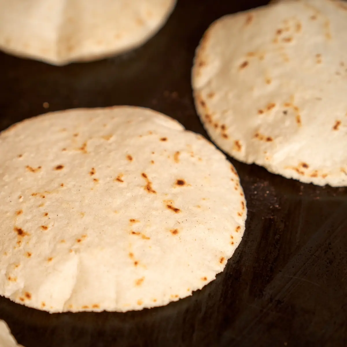 Corn Tortilla