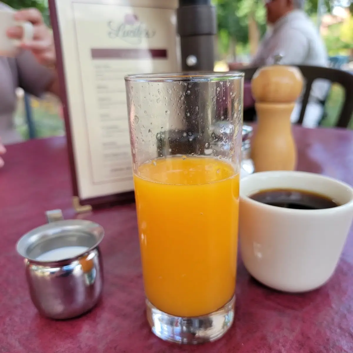 Fresh Squeezed Orange Juice