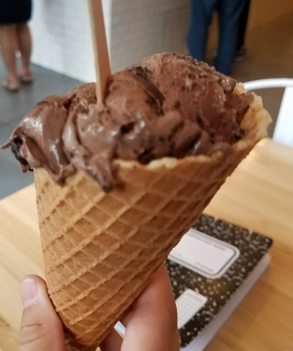 Chocolate Fudge Brownie