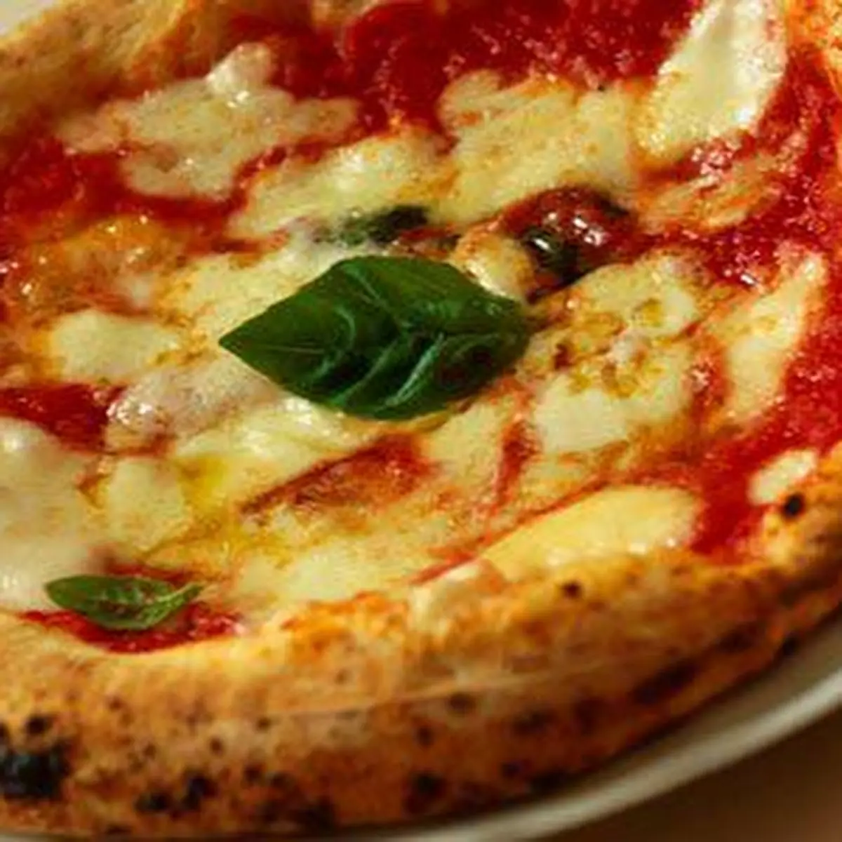 Pizza Margherita