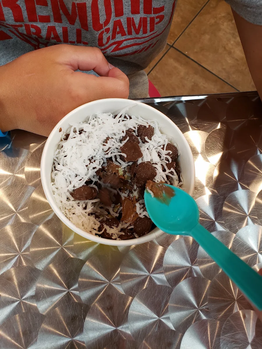 Chocolate Ice Cream Turtles Coconut