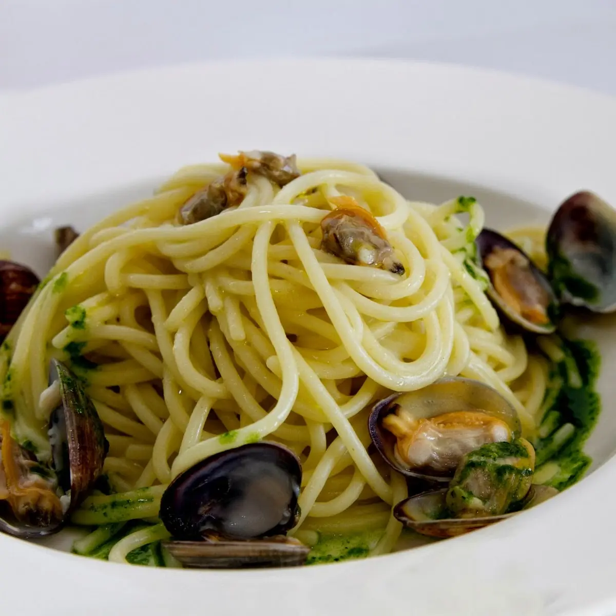 White Clam Sauce