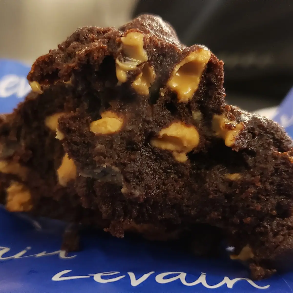 Chocolate Peanut Butter Cookie