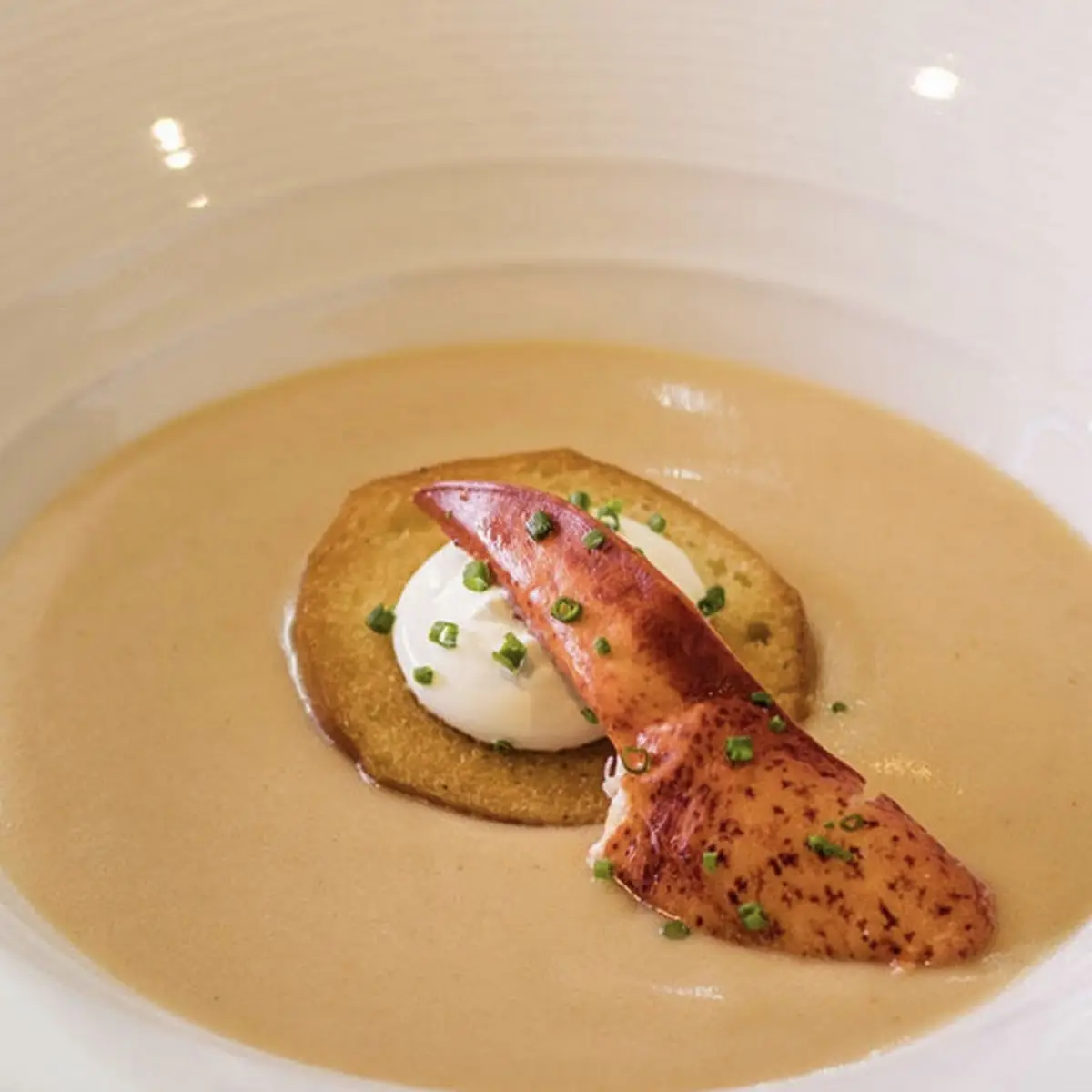 Maine Lobster Bisque