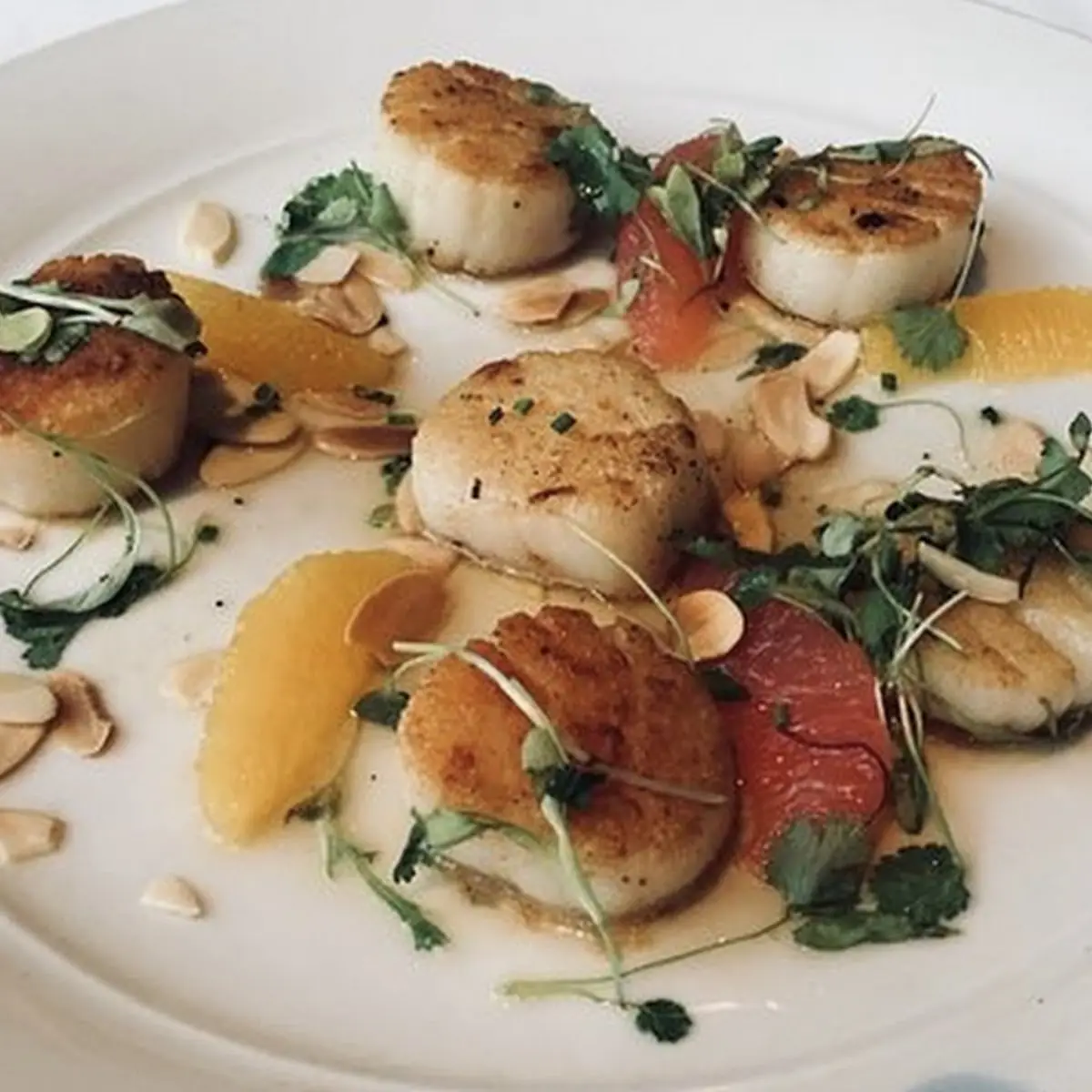 Pan Seared Scallops