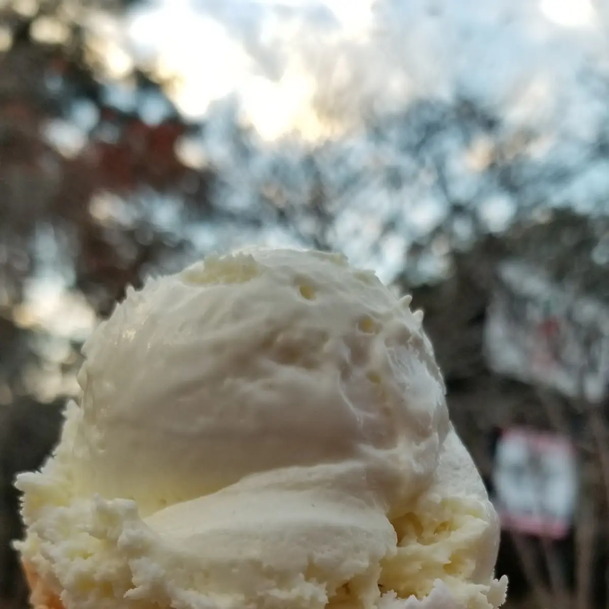 Cake Batter Ice Cream