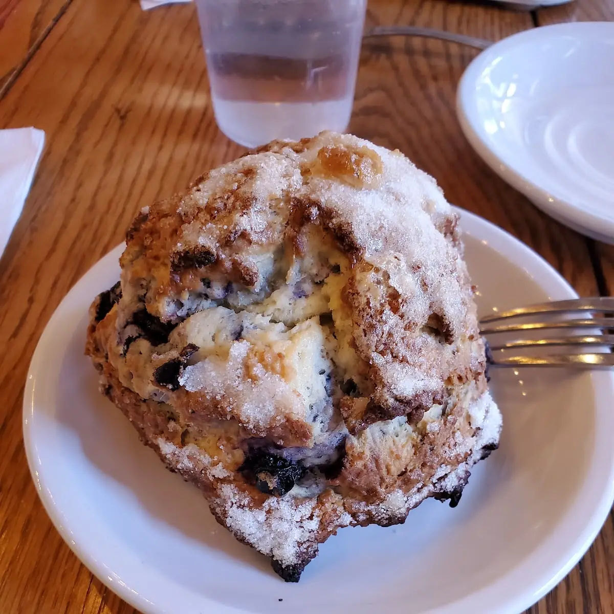 Lemon Blueberry Scone