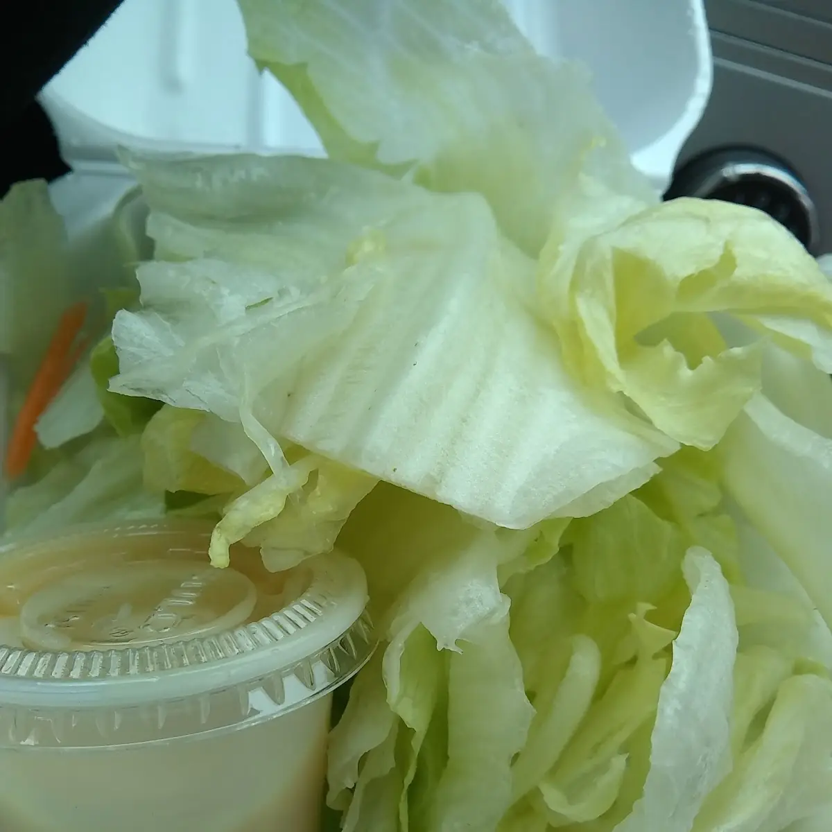 Salad