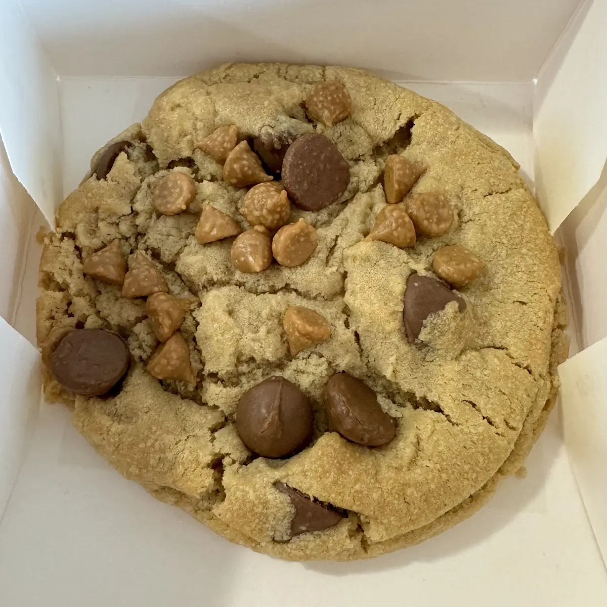Peanut Butter Cookie