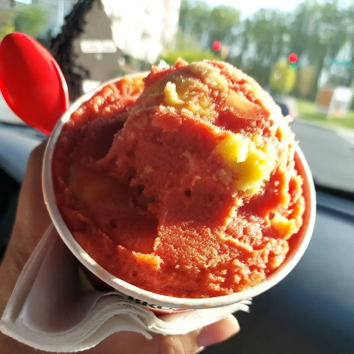 Mango and Dragon Fruit Sorbet