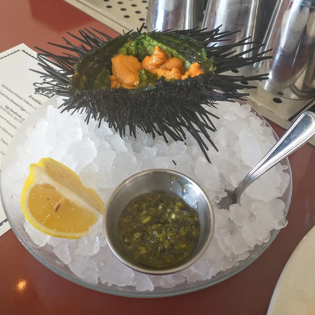 Uni Sea Urchin