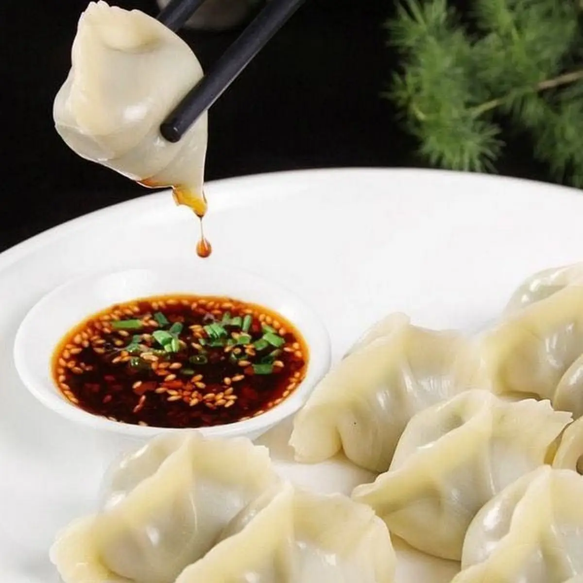 Dumpling