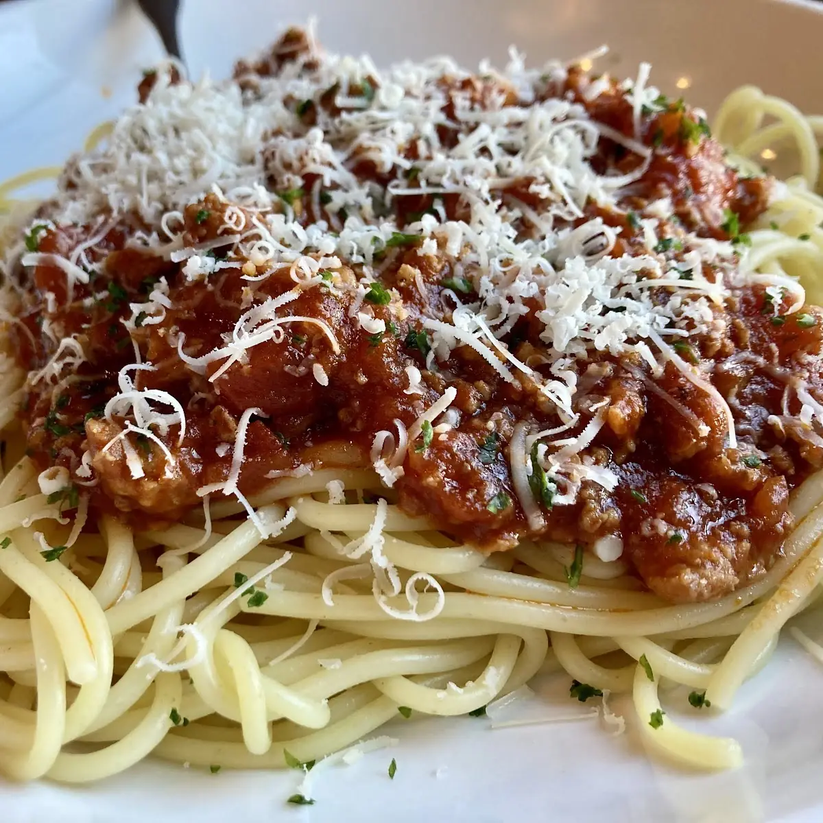 Spaghetti and Meat Sauce