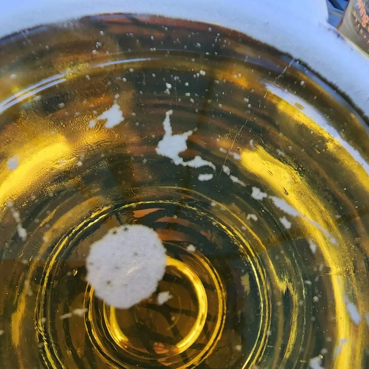 Draft Miller Lite