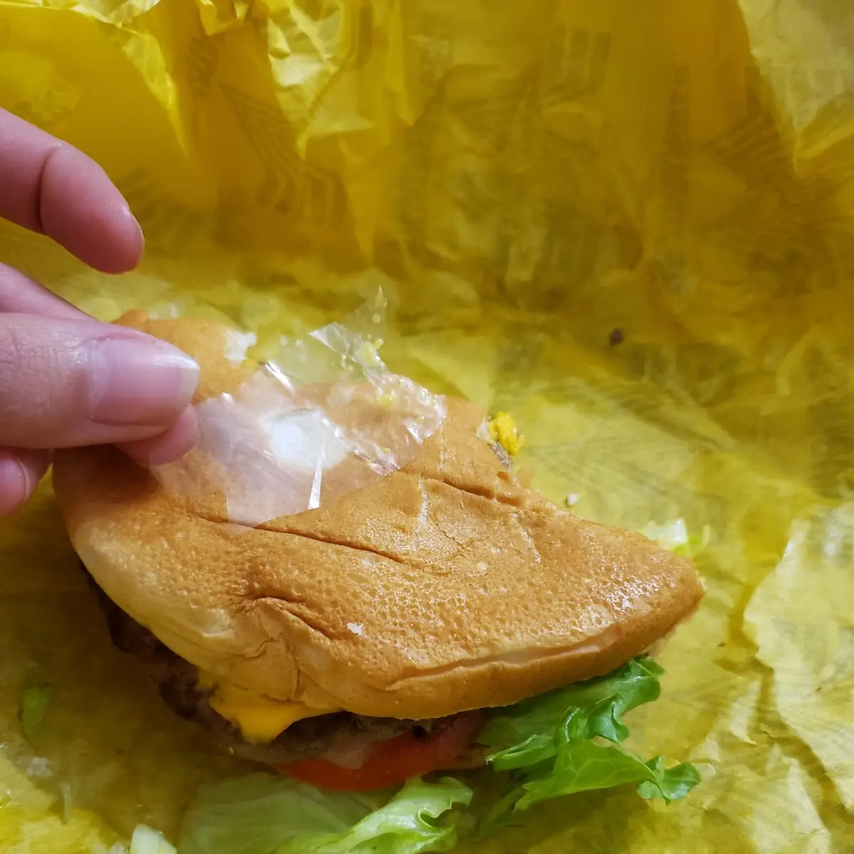 Veggie Burger