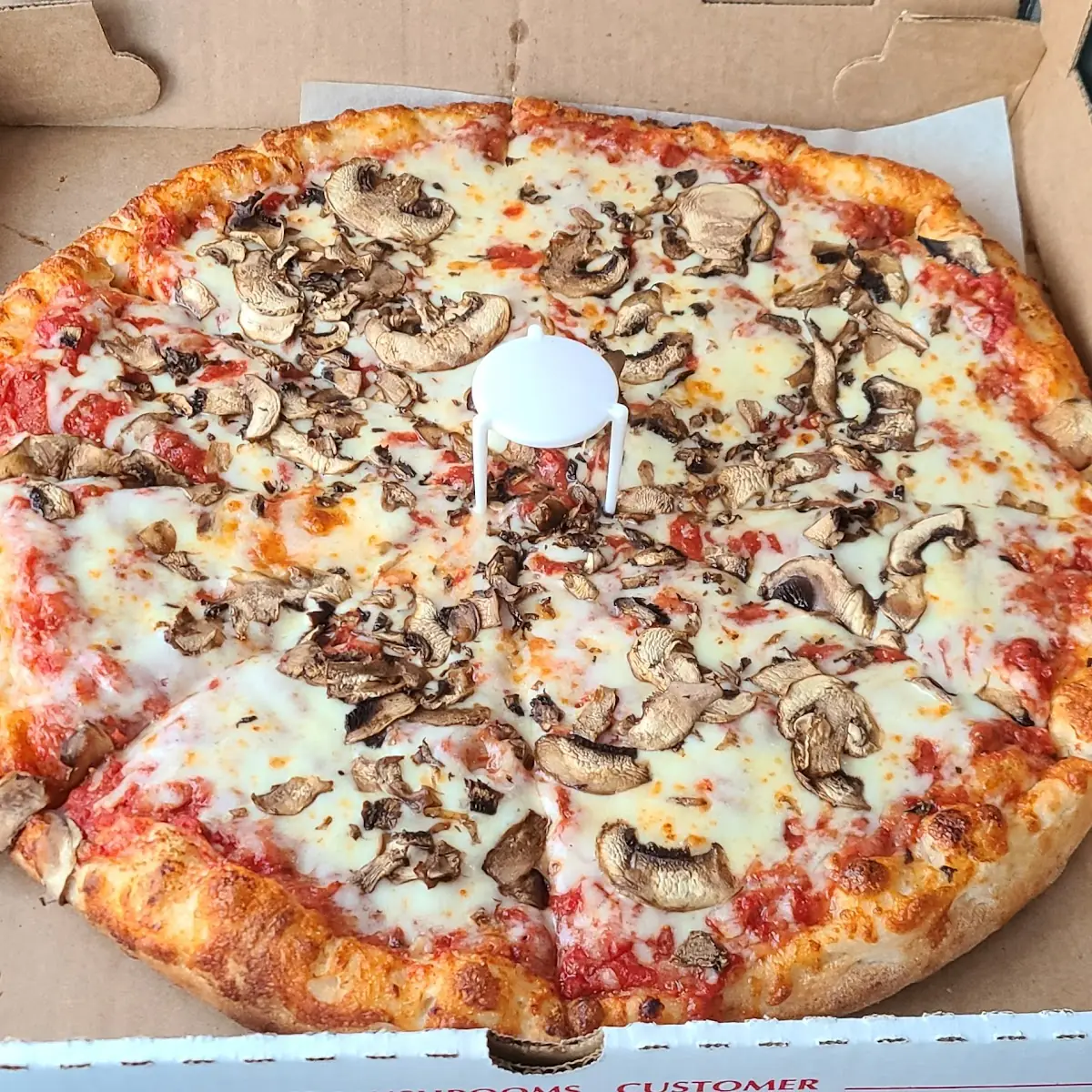 Mushroom Pizza