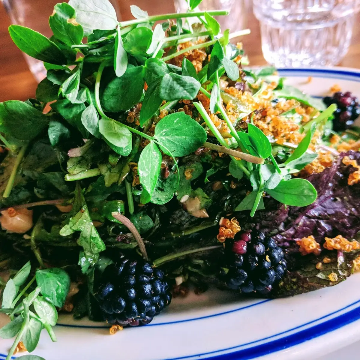 Green Salad