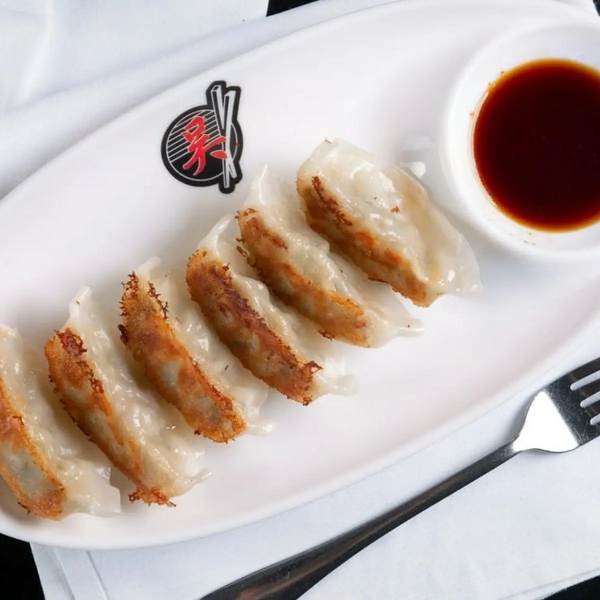 Pork and Chicken Gyoza
