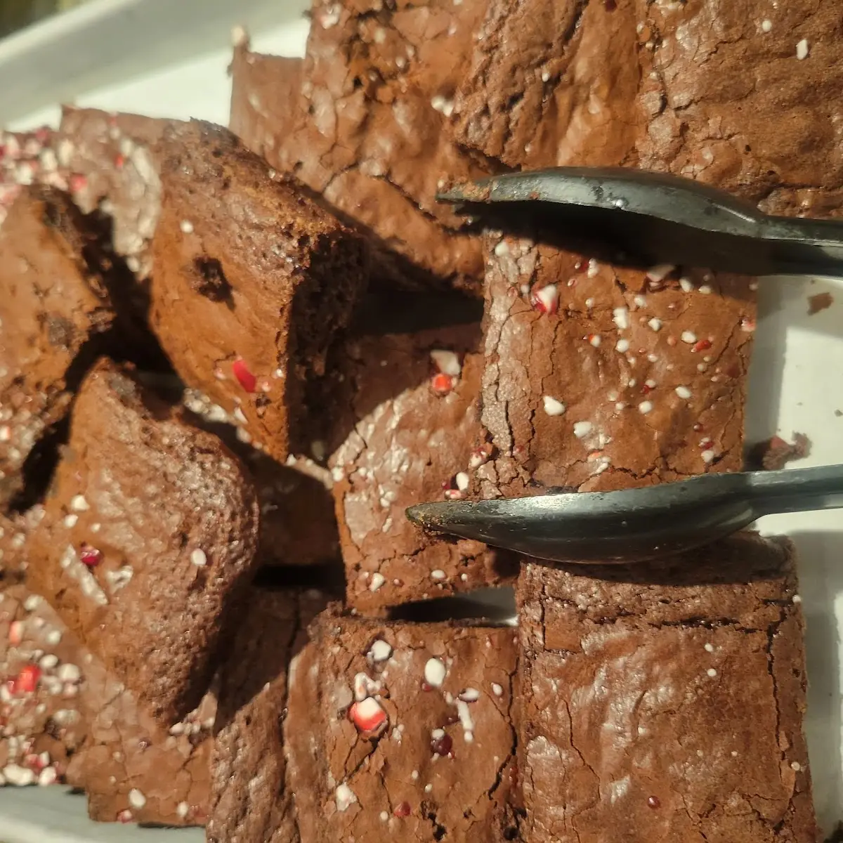 Chocolate Brownie