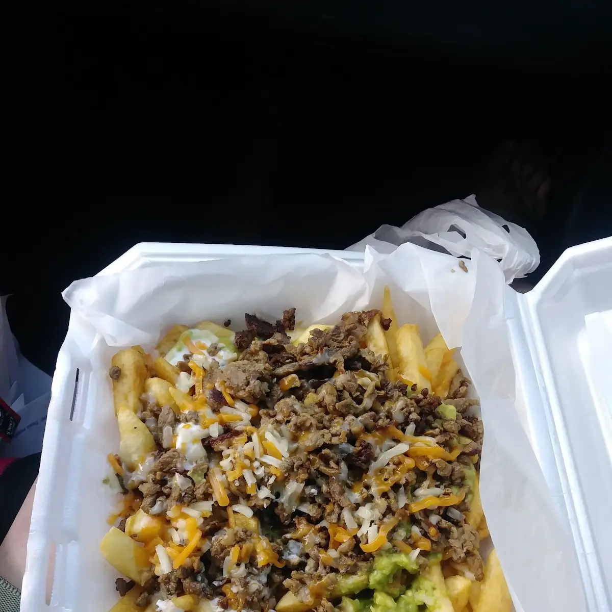 Carne Asada Fries