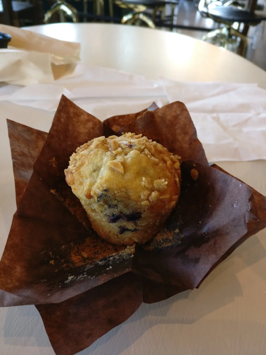 Blueberry Muffin