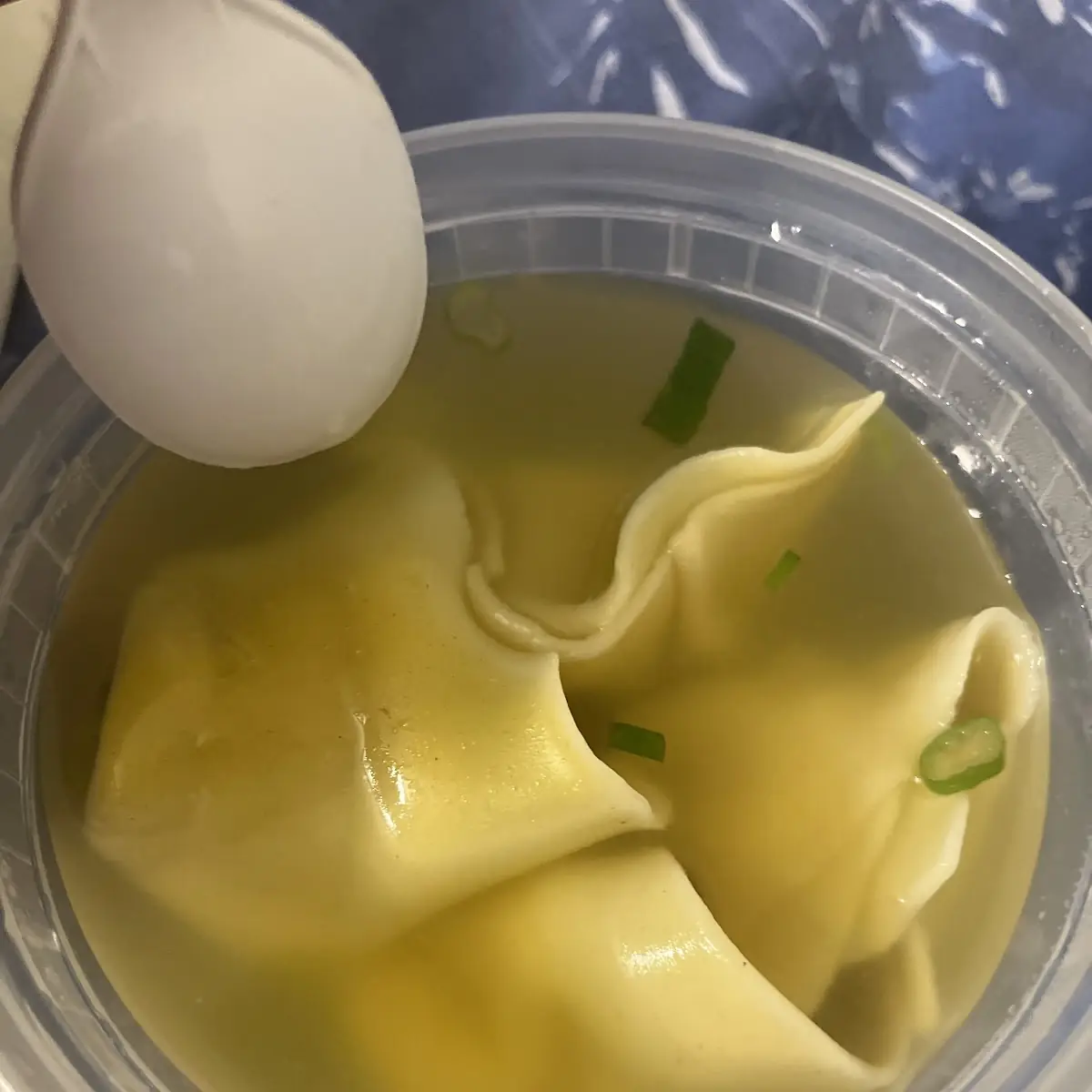 Wonton Soup
