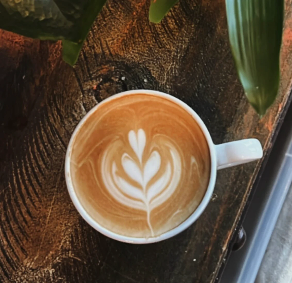 Latte