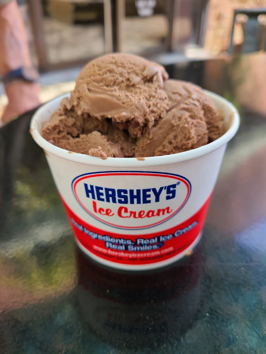 Chocolate Ice Cream