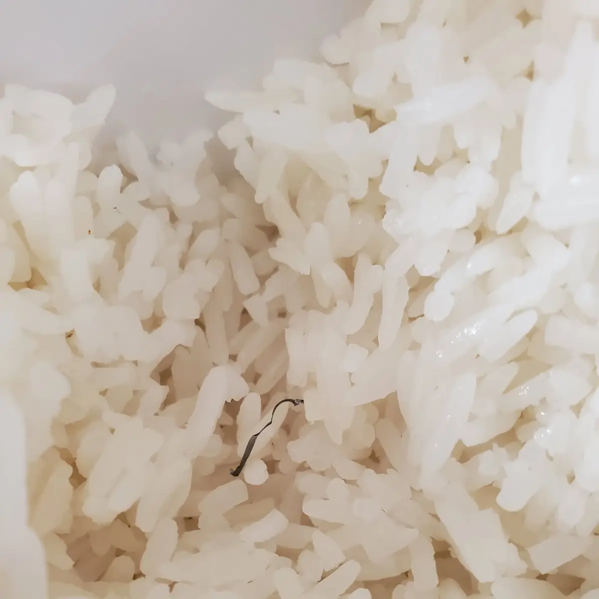 White Rice