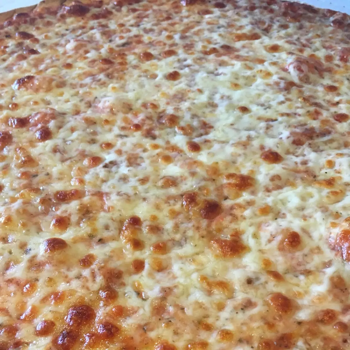 Cheese Pizza