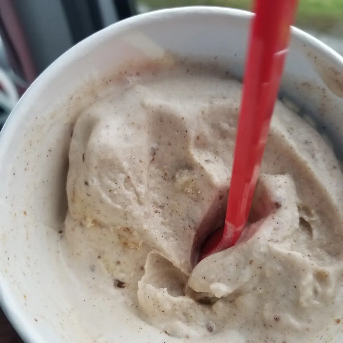 Snicker Doodle Cookie Dough Blizzard
