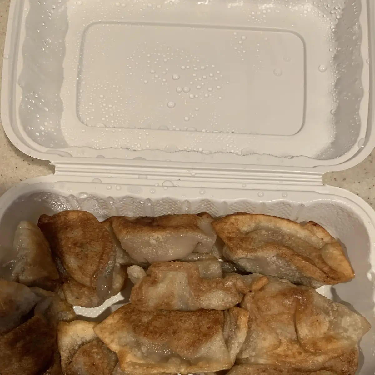 Fried Dumplings