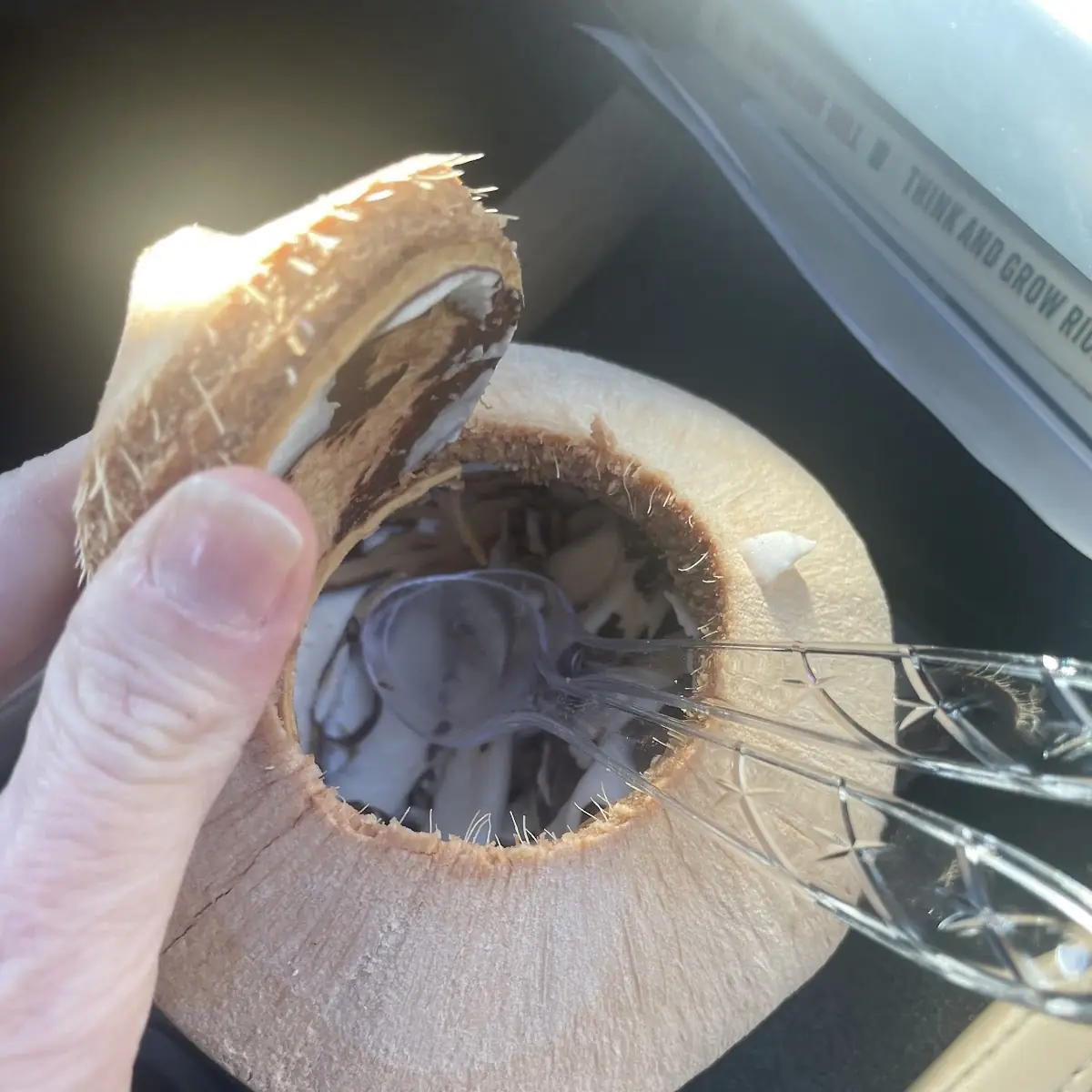 Young Thai Coconut Water