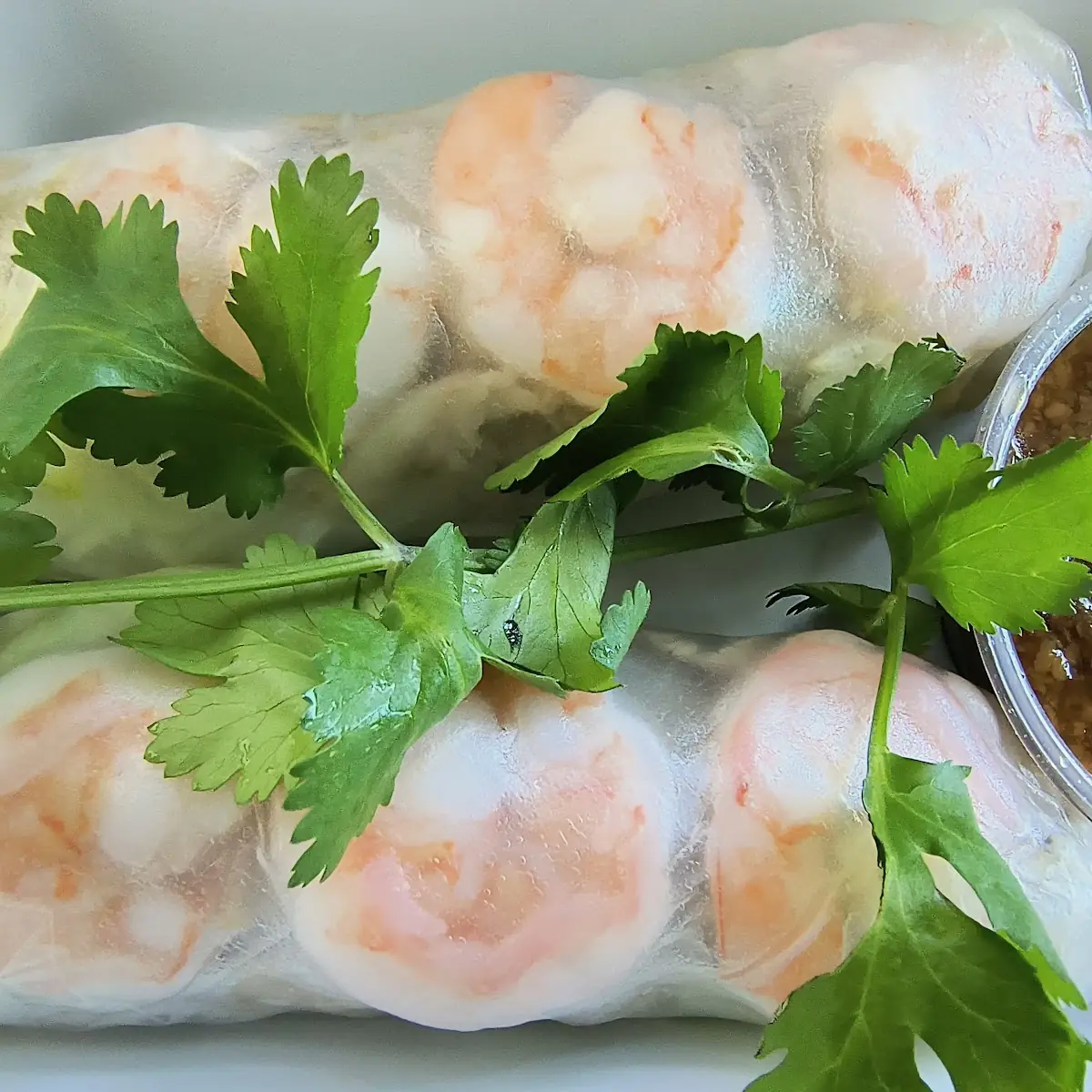 Spring Rolls - Goi Cuon