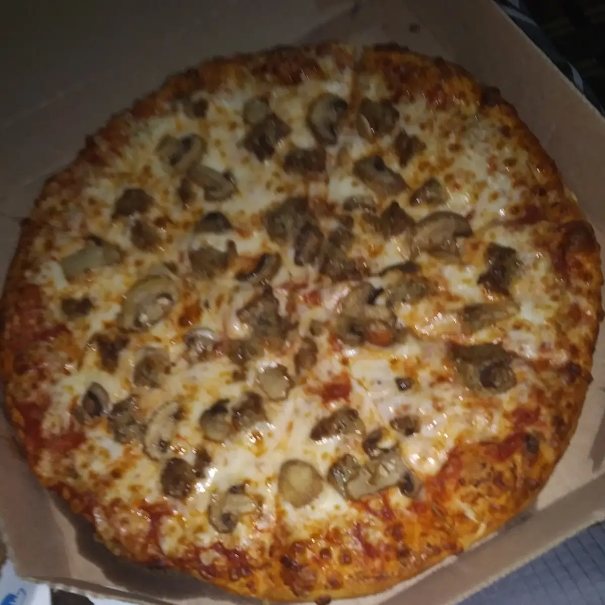 Mushroom and Sausage Pizza
