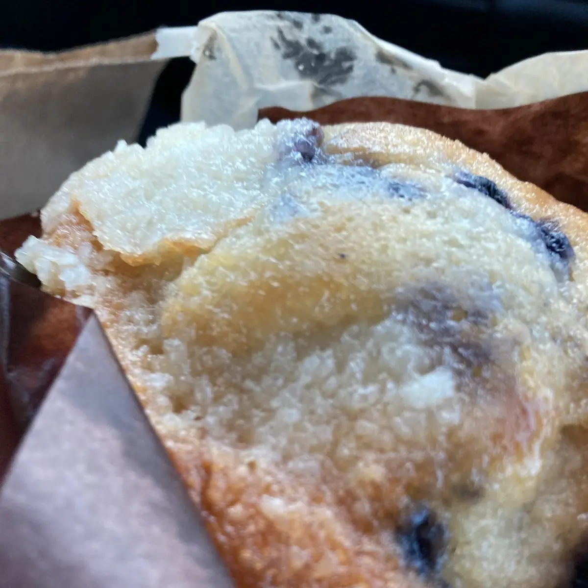 Blueberry Muffin