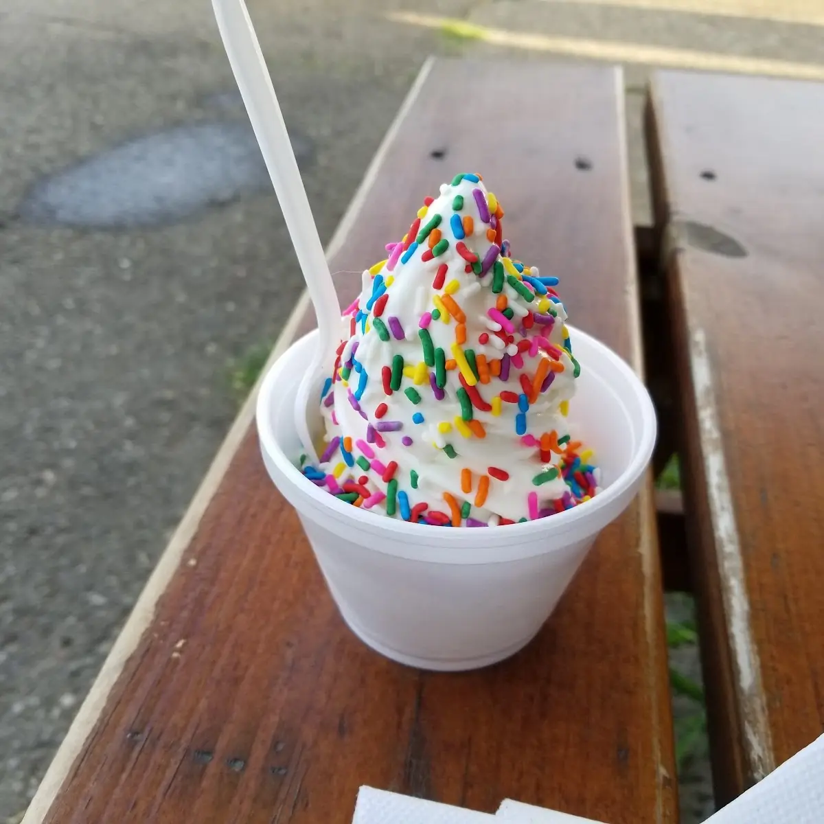 Vanilla Ice Cream with Sprinkles