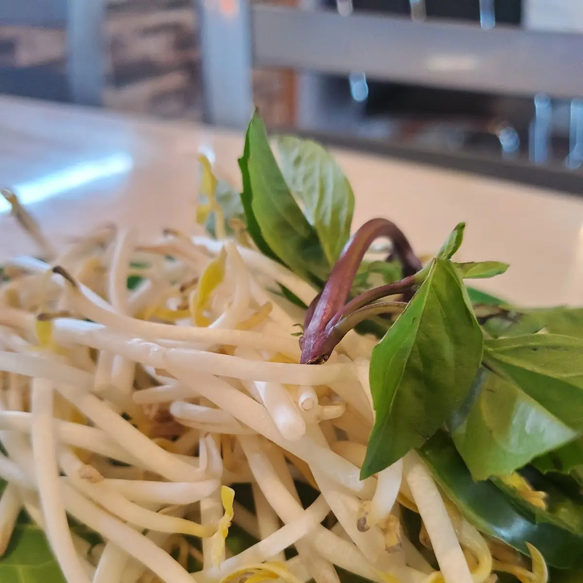 Bean Sprouts