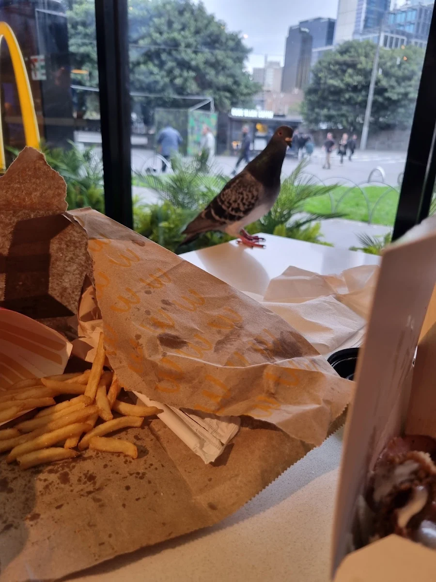 Pigeon Soup, McDonald's Freshwater Place