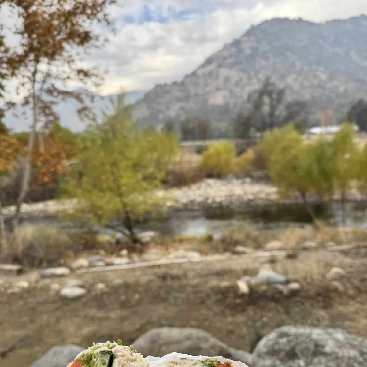 Tuna Salad Sandwich