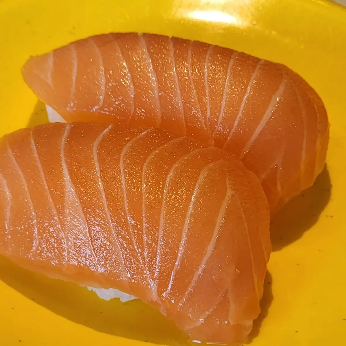 Salmon Lover (8pcs)