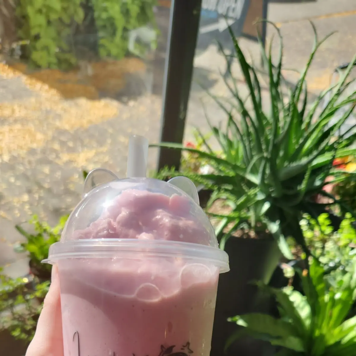 C1.	Taro Slush