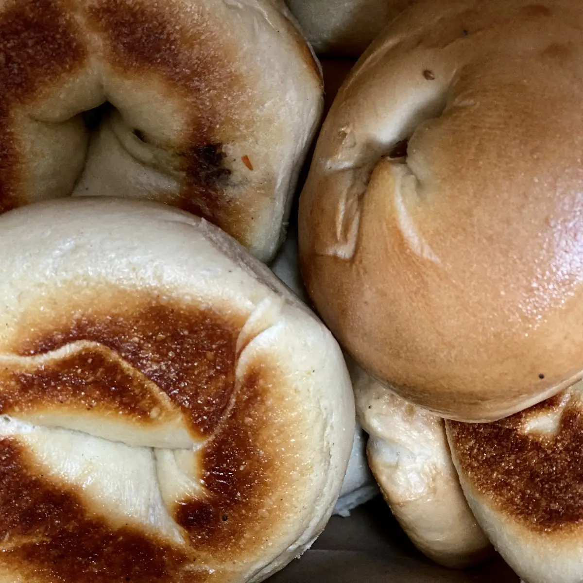 Plain Bagels